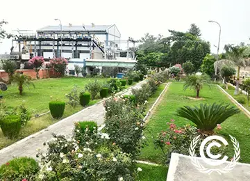 Manicured garden with pathways and greenery in an urban setting representing sustainability in Traizr mail tracking